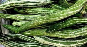 Snake Guard Long 1pc by SG Local Mart