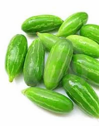 Ivy Gourd / Kovvakai /Tondli 400g by SG Local Mart