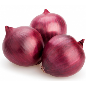 Red Indian Onion 500g (Approx) by SG Local Mart