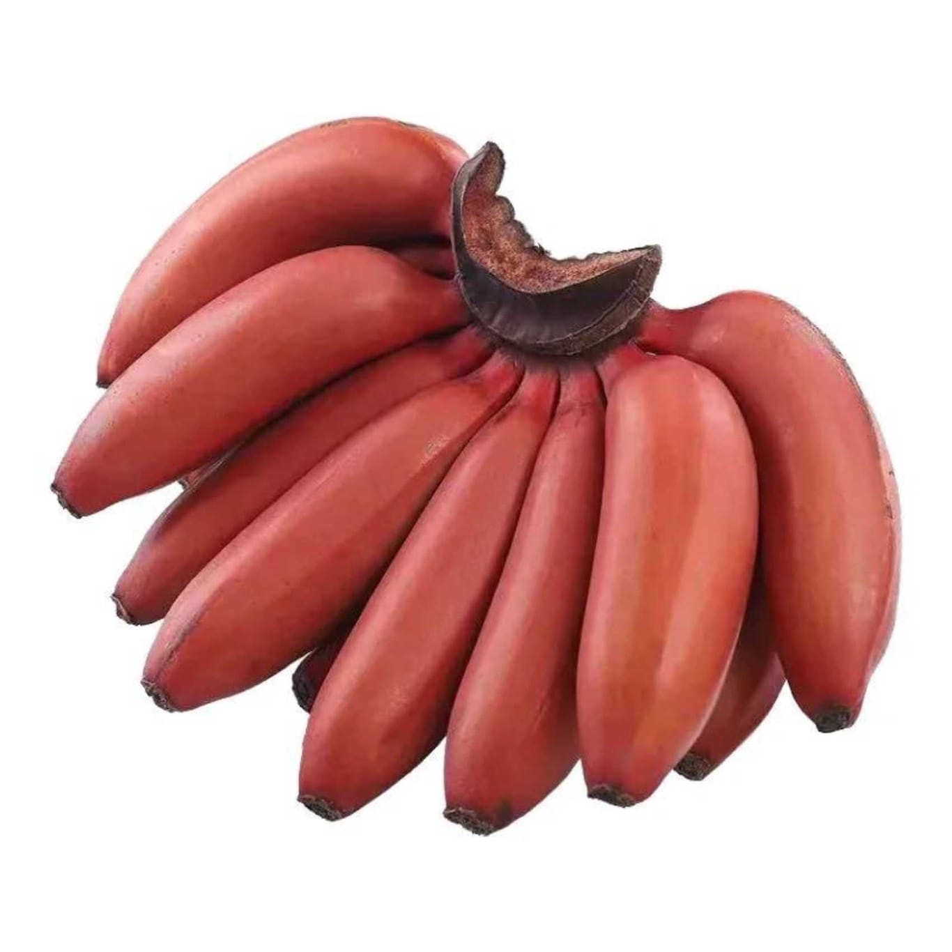 Red Banana 4~5pcs by SG Local Mart